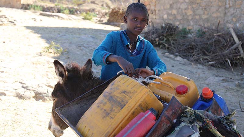 A young girl loads filled water cans from a water source which is far from her home in Afar, Northern Ethiopia.