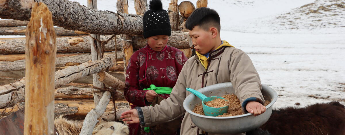 Severe winter in Mongolia as climate change puts children at risk