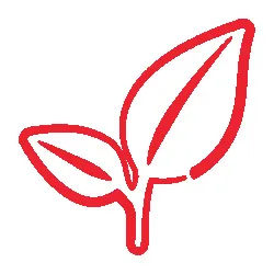 An icon of a leaf sprouting, representing Philanthropy section