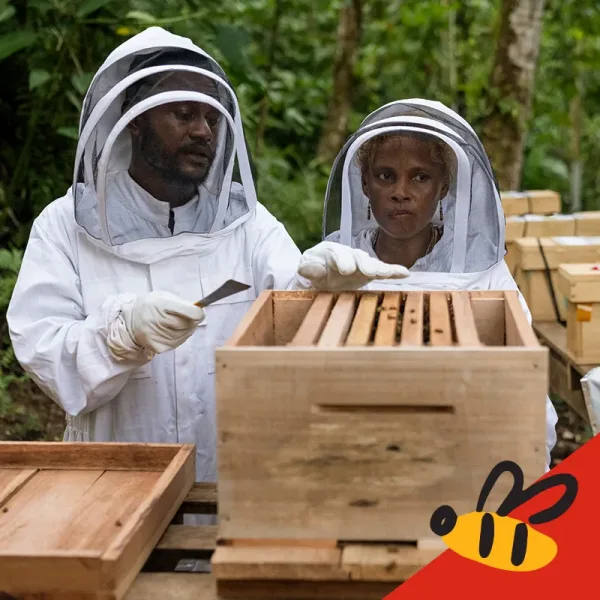 Busy Bees