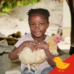 Chicks