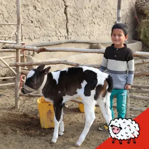 Livestock Bundle